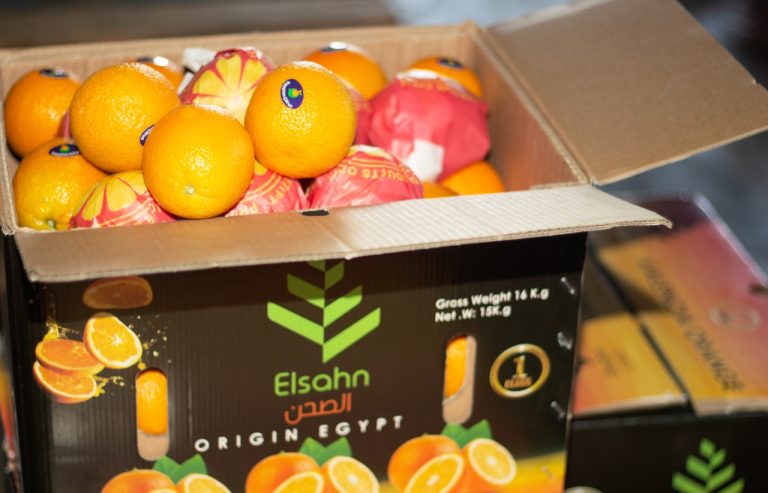 Oranges packed into an Elsahn Greens carton marked Origin Egypt