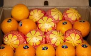 Oranges packed into an Elsahn Greens carton marked Origin Egypt