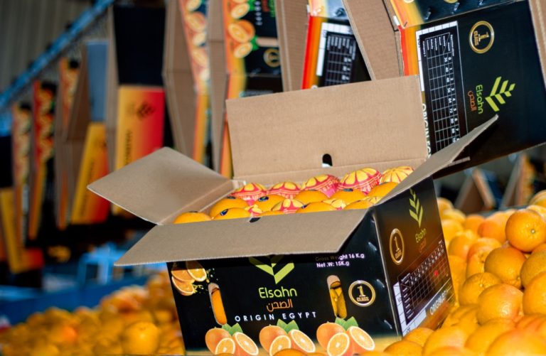 Oranges in printed fruit wraps packed into an export carton