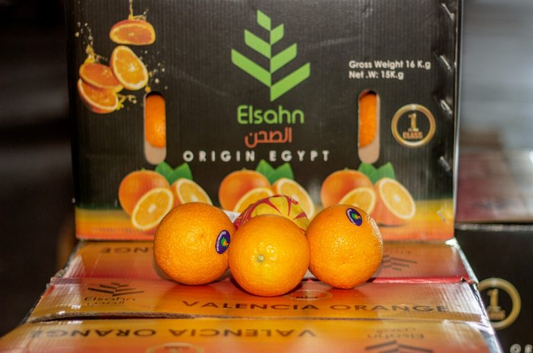 Cartons printed Valencia Orange being filled on the packing line
