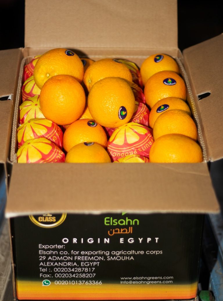 Oranges packed into an Elsahn Greens carton marked Origin Egypt