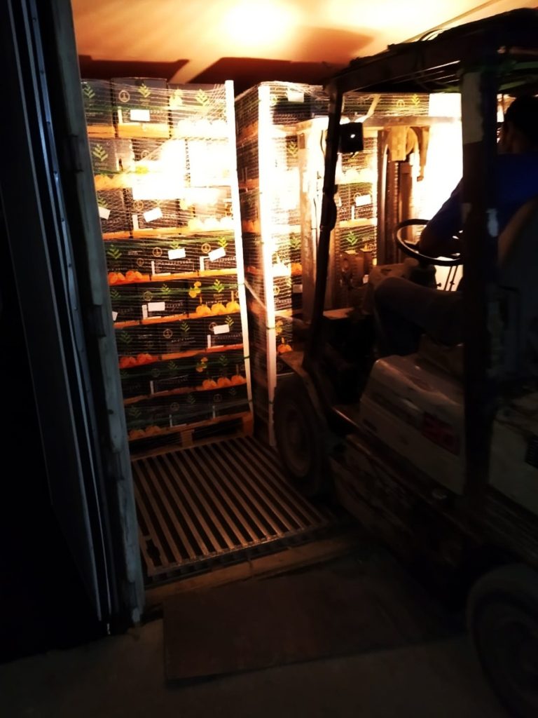 Citrus pallets being loaded by forklift