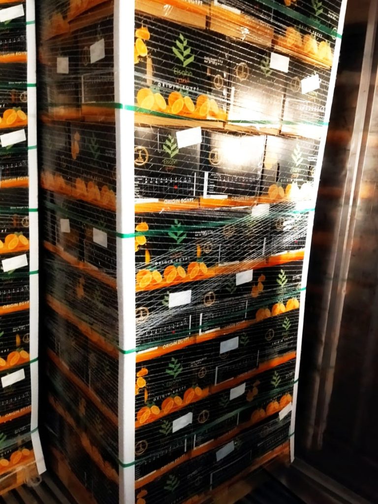 Pallets of Elsahn Greens citrus cartons in the cold store