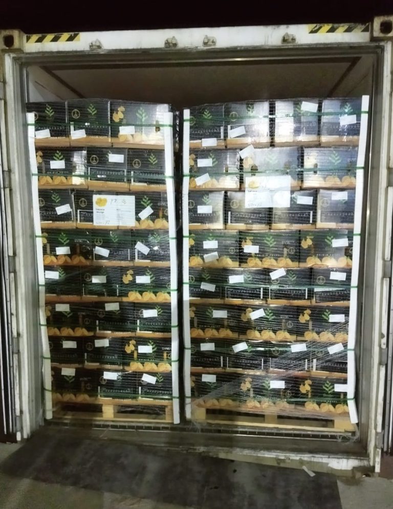 Citrus pallets being loaded by forklift