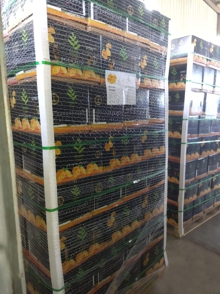 Pallets of Elsahn Greens citrus cartons in the cold store