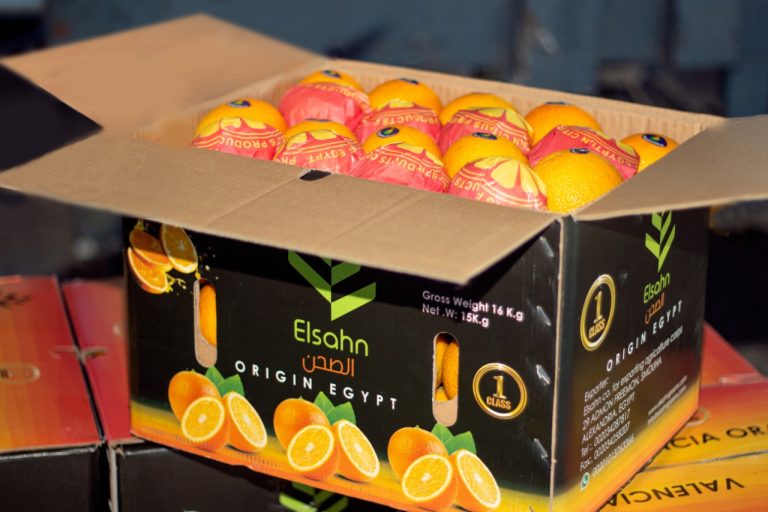 Oranges in printed fruit wraps packed into an export carton