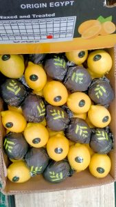 A carton of Elsahn Greens lemons marked Origin Egypt, waxed and treated