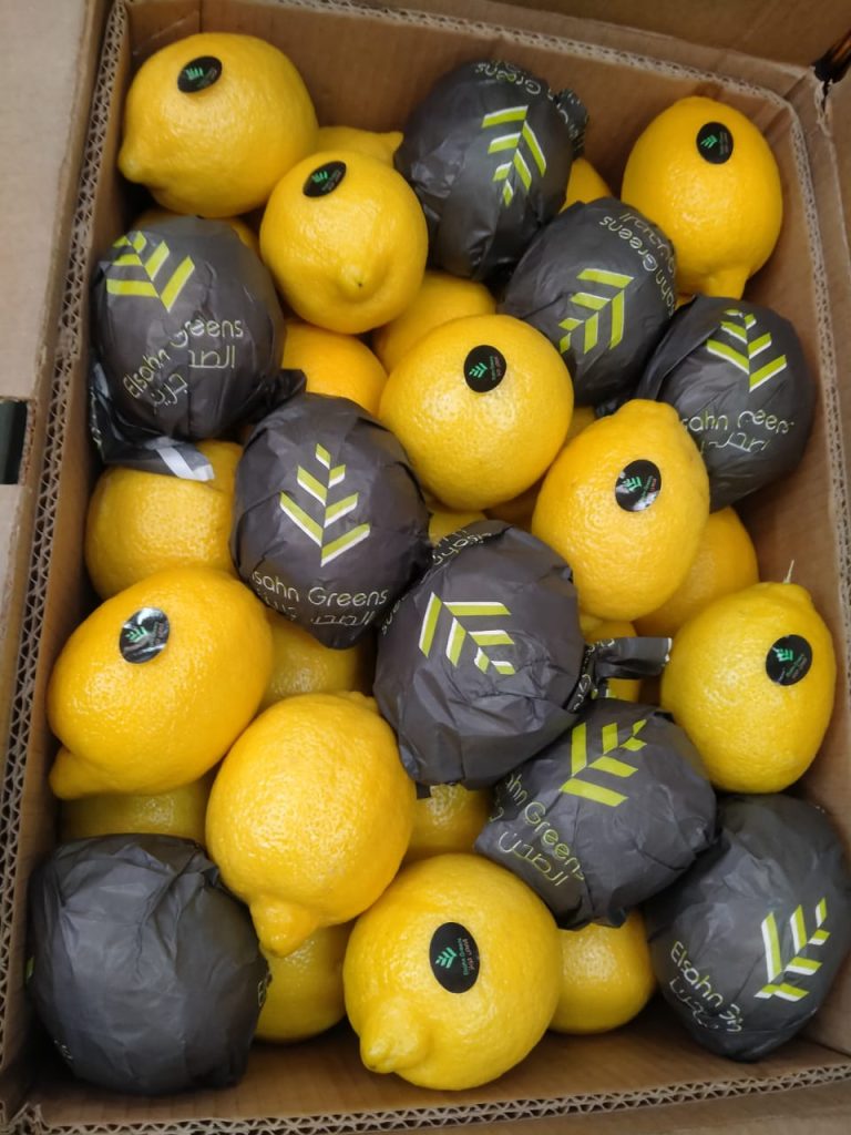Lemons in Elsahn Greens branded fruit wraps, packed into an export carton