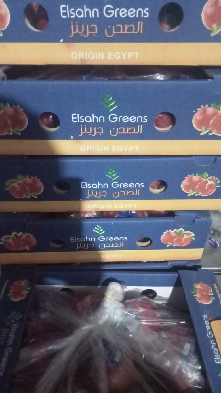 Elsahn Greens pomegranate cartons stacked for dispatch