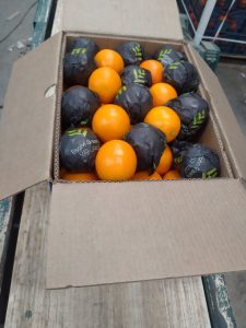 Oranges in Elsahn Greens fruit wraps packed into an export carton