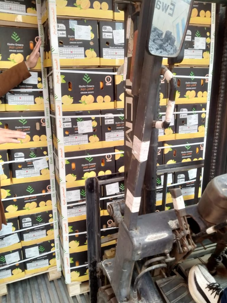 Pallets of Elsahn Greens citrus cartons being moved by forklift