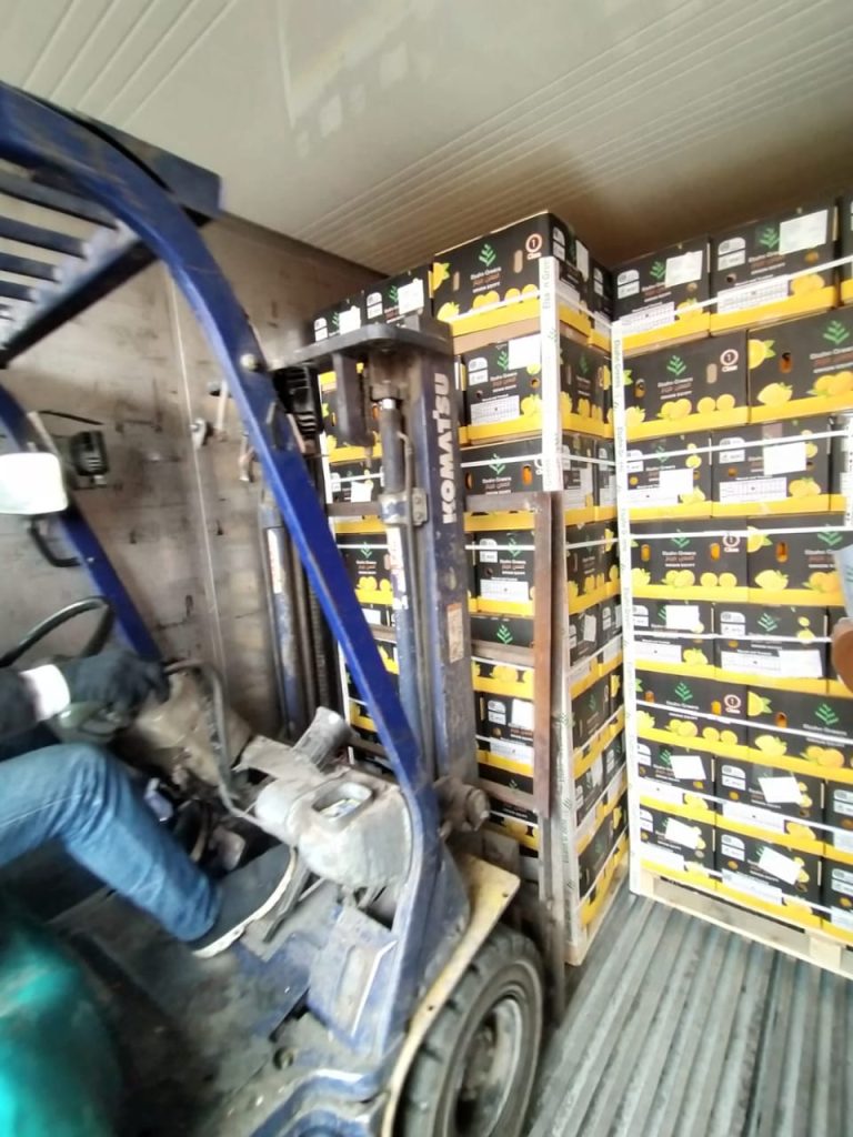 Pallets of Elsahn Greens citrus cartons being moved by forklift
