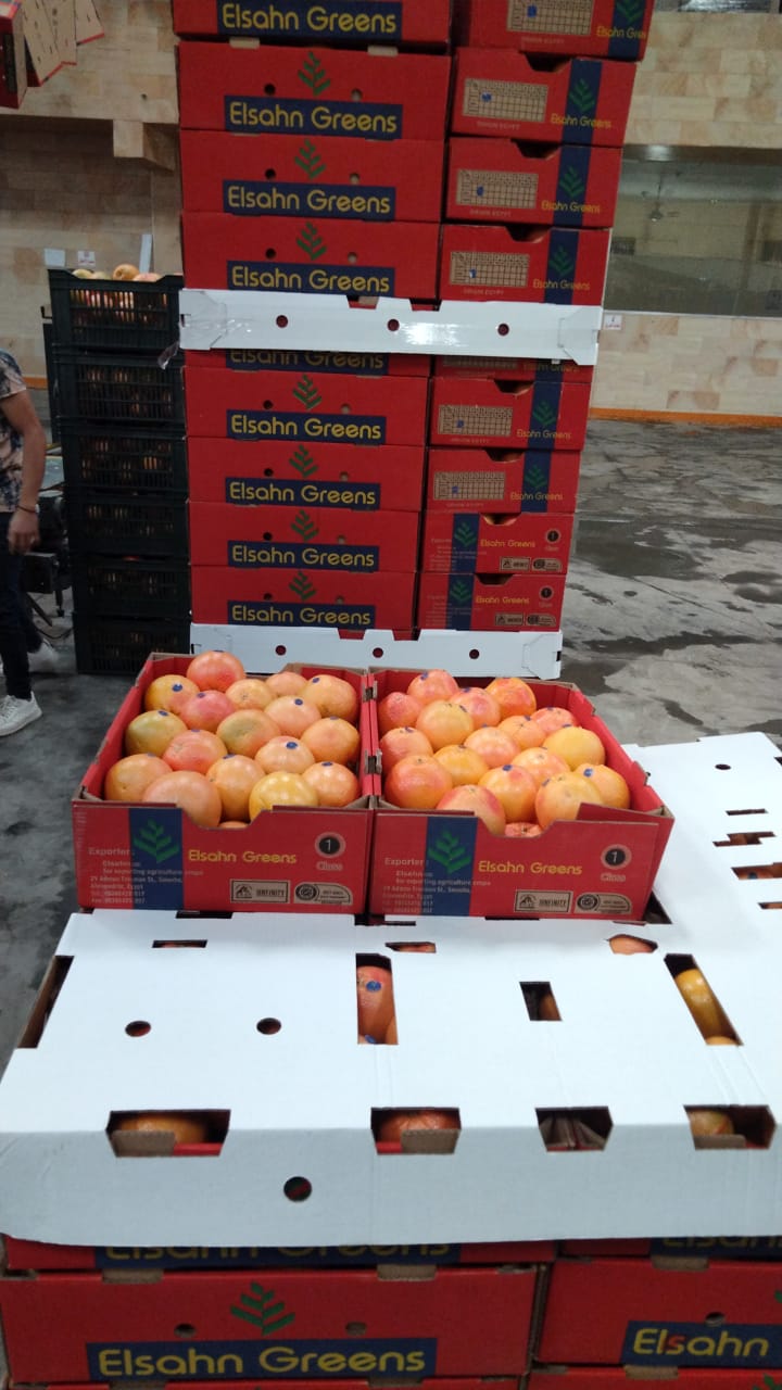 Elsahn Greens grapefruit cartons stacked on a pallet