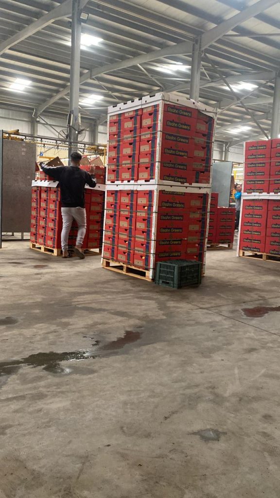 ElSahn Greens operations