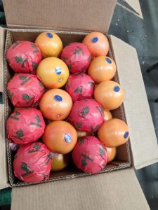 Grapefruit wrapped in printed tissue and packed into a carton