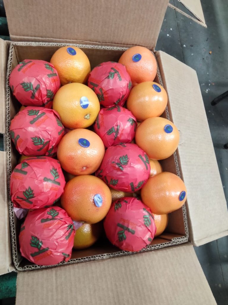 Grapefruit wrapped in printed tissue and packed into a carton