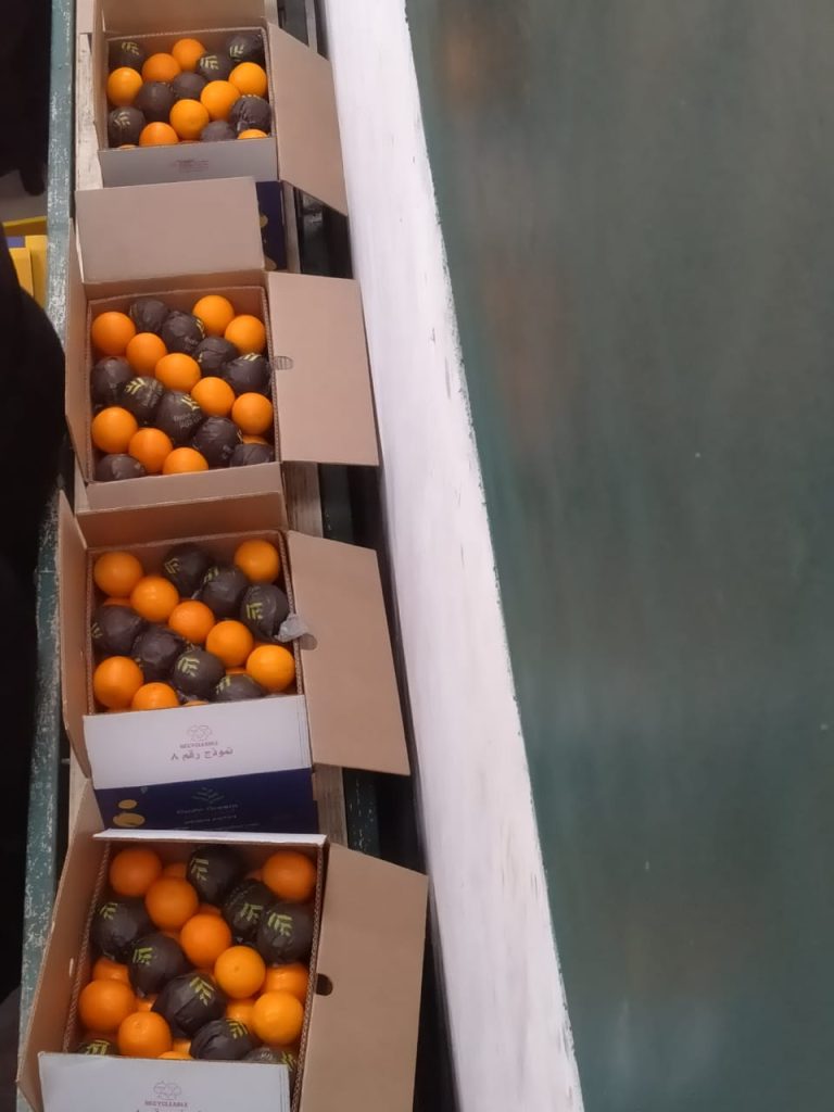 Packed orange cartons moving along the line