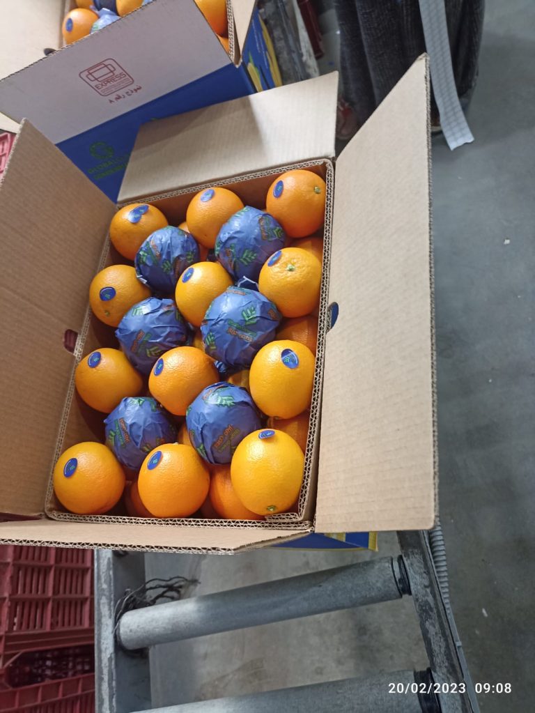 Oranges in printed fruit wraps packed into an export carton