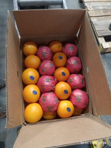 Oranges in printed fruit wraps packed into an export carton