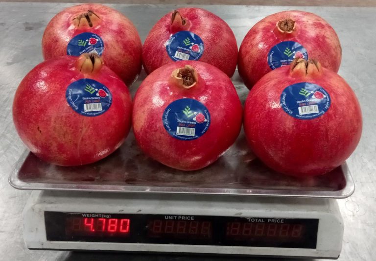 Labelled pomegranates being weighed on the packing line