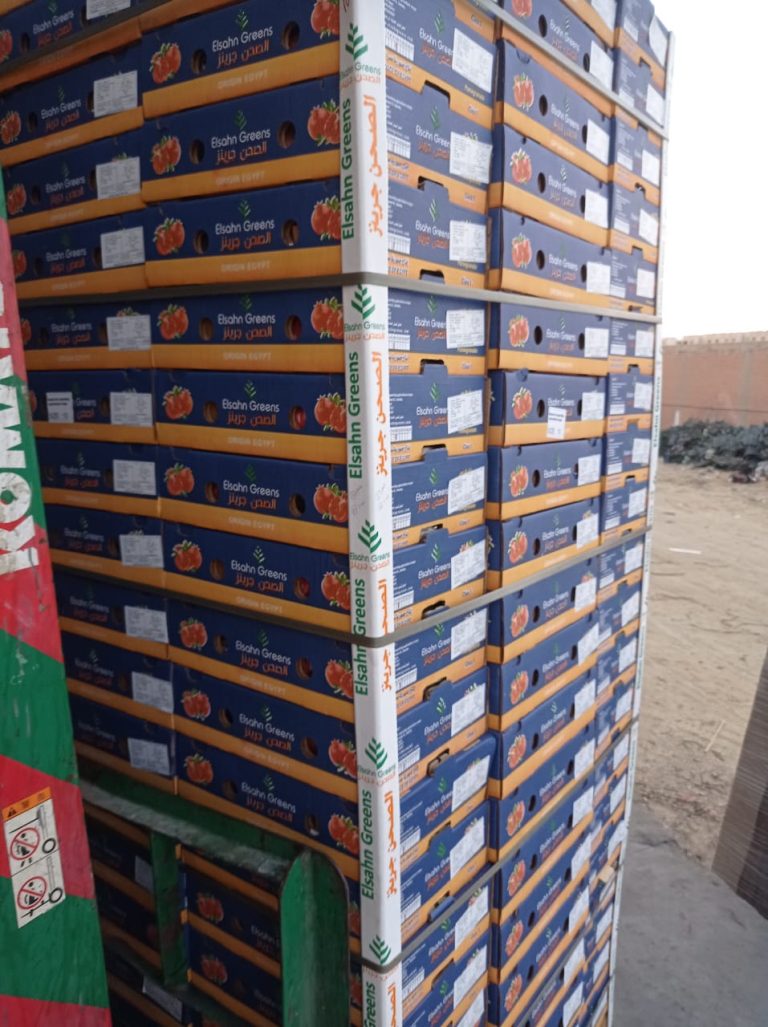 Pallets of Elsahn Greens pomegranate cartons marked Origin Egypt