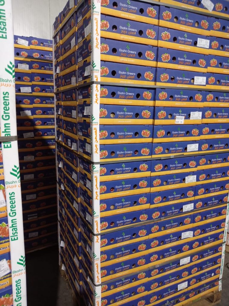 Pallets of Elsahn Greens pomegranate cartons marked Origin Egypt