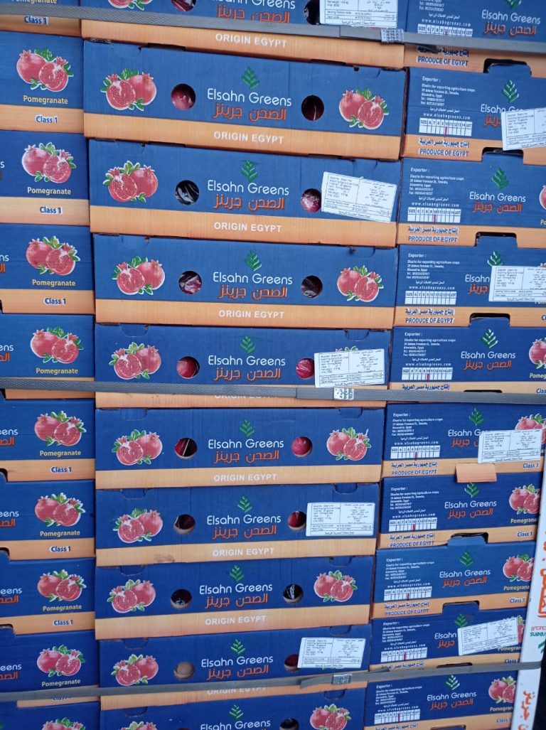 Pallets of Elsahn Greens pomegranate cartons marked Origin Egypt