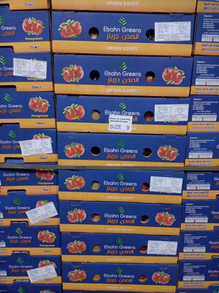 Pallets of Elsahn Greens pomegranate cartons marked Origin Egypt