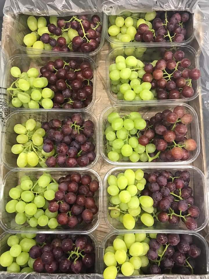 Red and white table grapes packed into retail punnets