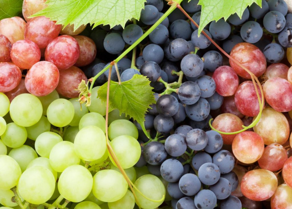 Green, red and black table grapes side by side