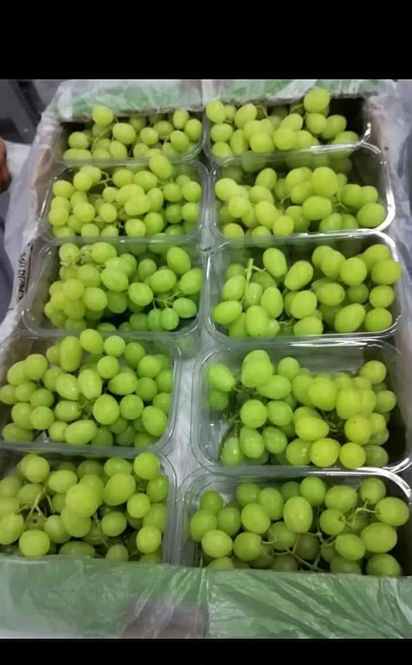 White table grapes packed into retail punnets