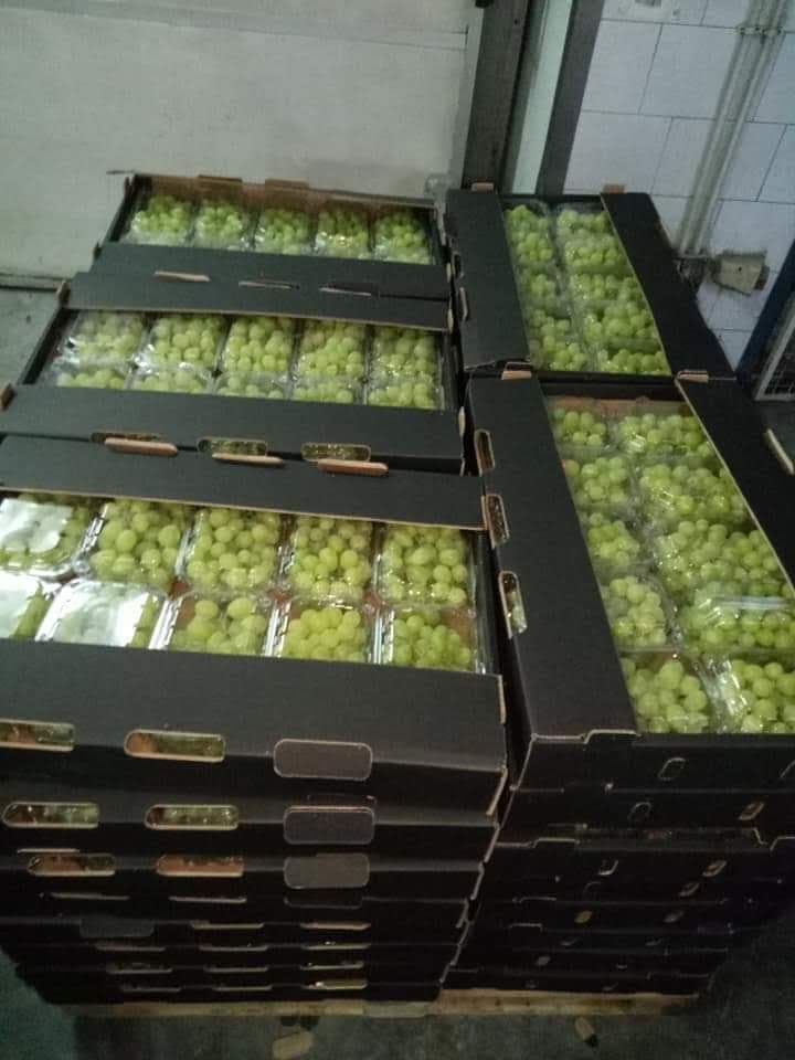 Cartons of white table grapes stacked for dispatch