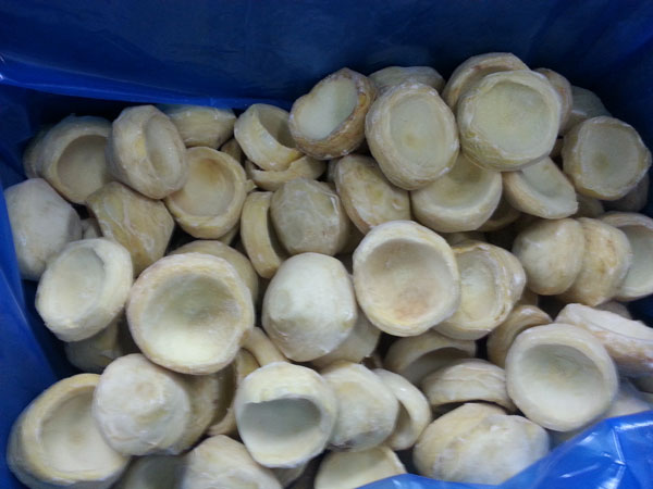 IQF artichoke bottoms, pale and trimmed, in a blue-lined crate