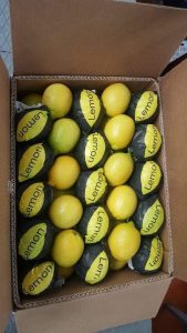 Egyptian lemons packed into an export carton