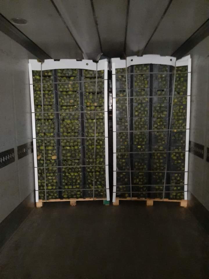 Pallets of citrus loaded into a refrigerated container