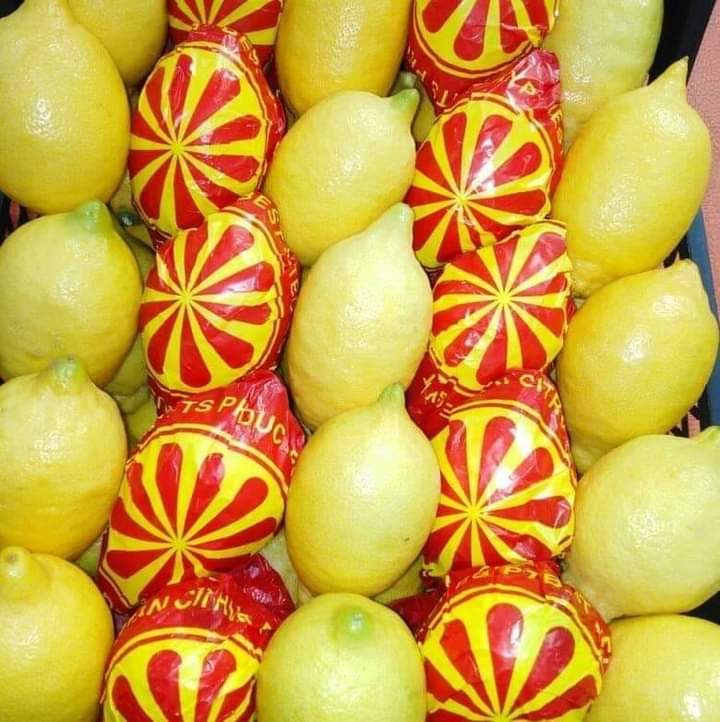 Lemons packed with printed fruit wraps in an export carton
