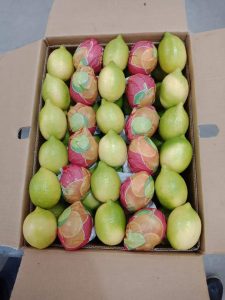 Lemons packed with printed fruit wraps in an export carton