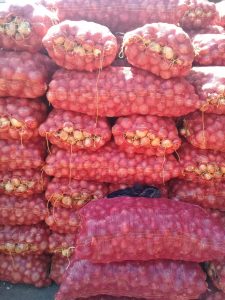 Mesh bags of Egyptian onions stacked on pallets