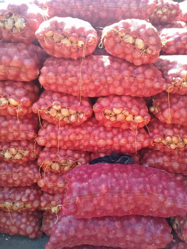 Mesh bags of Egyptian onions stacked on pallets