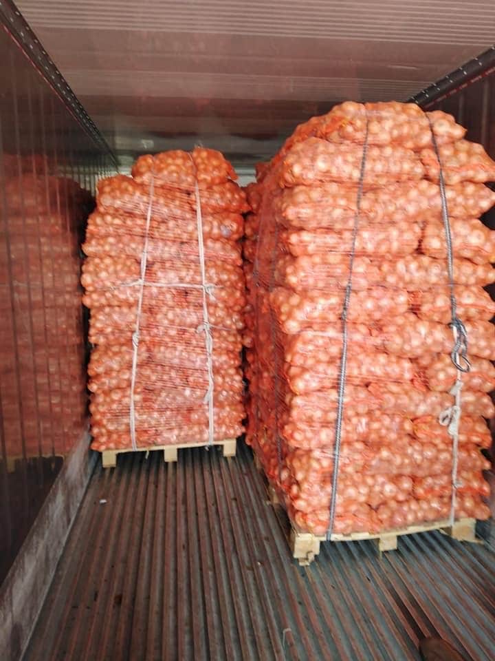 Pallets of bagged onions loaded into a container