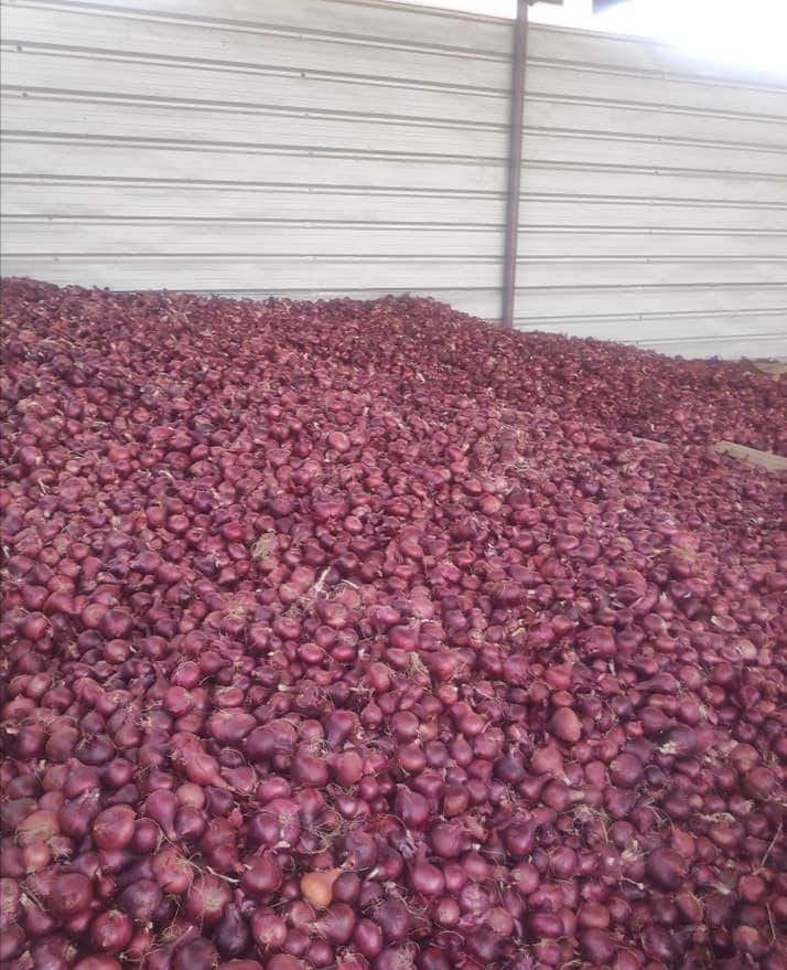A bulk store of red onions