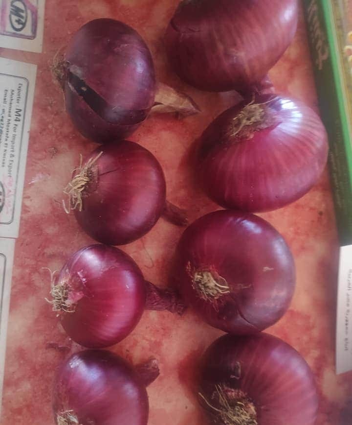 Red Egyptian onions