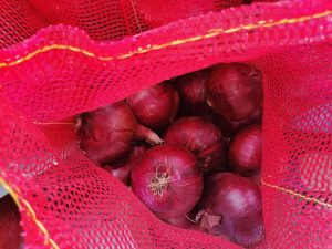 Red Egyptian onions
