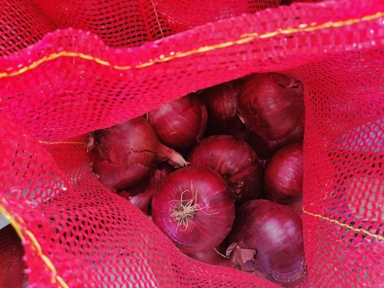 Red Egyptian onions