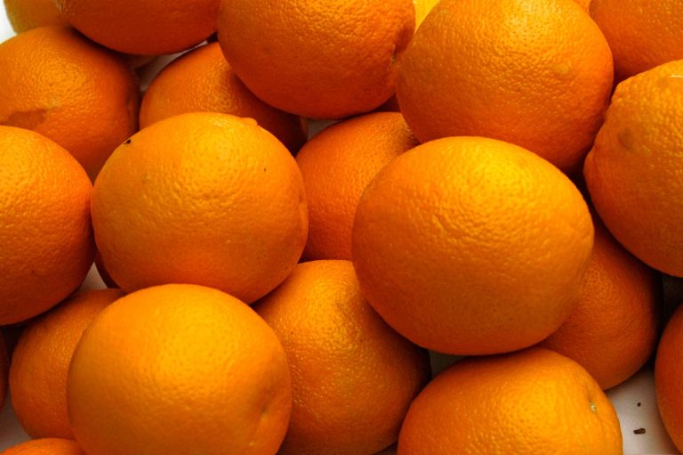 Egyptian oranges, graded and ready for packing