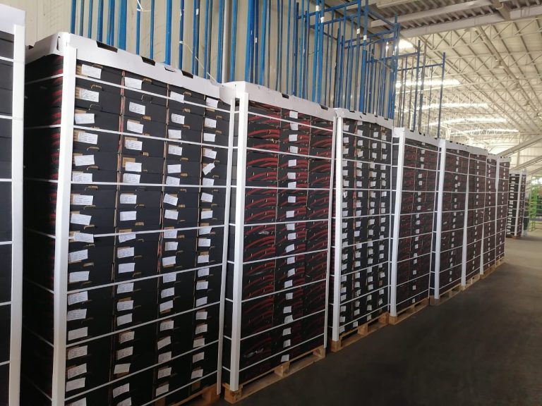Pallets of pomegranate cartons in the cold store