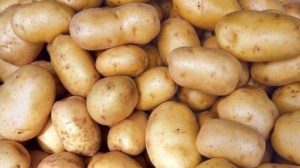 Graded Egyptian potatoes