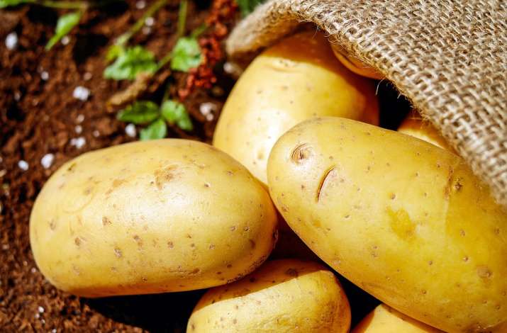 Graded Egyptian potatoes