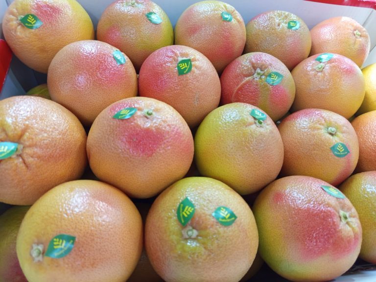Close view of labelled grapefruit showing the pink blush on the peel
