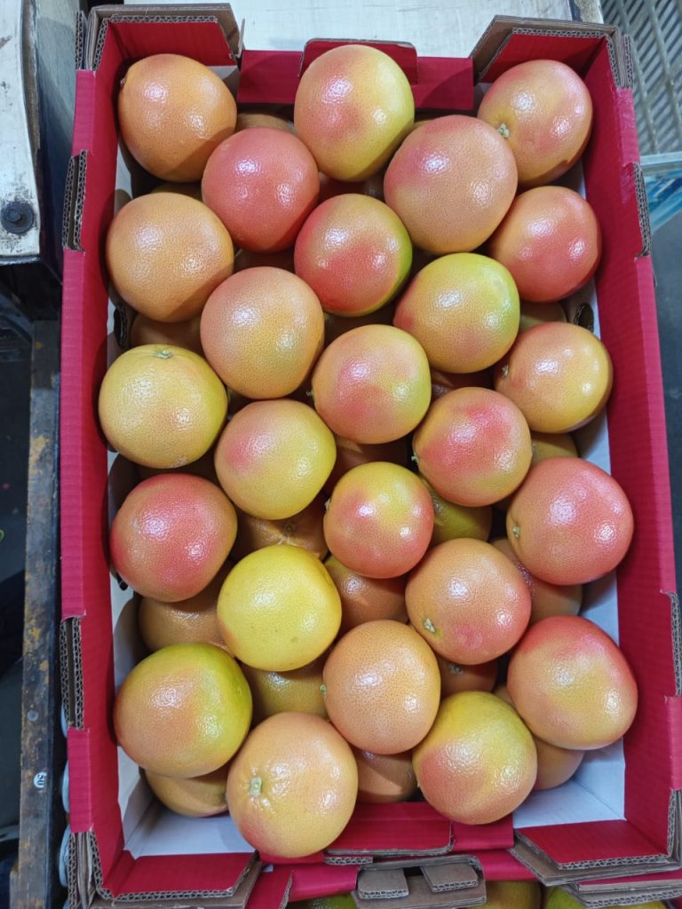 Grapefruit filling an open red carton lined with white card